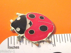 LADY BUG LADYBUG - Pin de sombrero, pasador de solapa, tie tac, pasador de bufanda alfiler de sombrero EN CAJA DE REGALO - Imagen 1 de 4