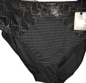 NWT Ashley Graham Panties Hi Cut Sheer Mesh Back Lace PinStripe Brief 3X + 22 24 - Picture 1 of 11