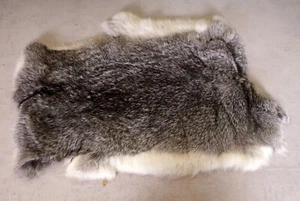 Schönes graues Hasenfell Länge: 48cm Rabbit Fur - Bild 1 von 2