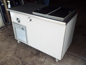 ice cream freezer ebay