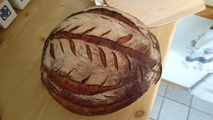 HISTORIC 1633 Bavarian "Black Death" Sourdough Starter very ACTIVE - Picture 1 of 7
