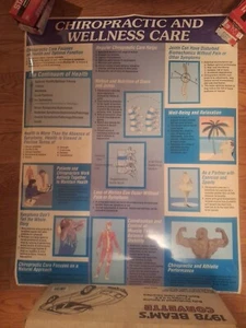 Lot Of 5 Laminated Chiropractic Chart Posters Human Body - Picture 1 of 5