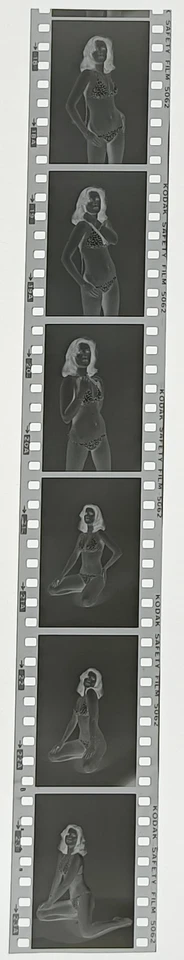 6 negatives pretty young woman black 24x35mm by professional photographer abx-lr36-6 - Image 1 of 1