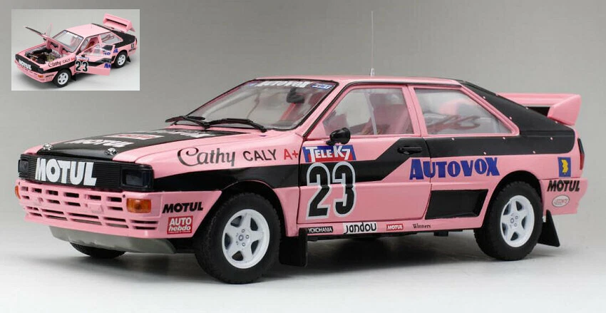 Audi Quattro #23 French Rallycross 1987 Cathy Caly 1:18 Model 4251 SUN STAR - Immagine 1 di 1