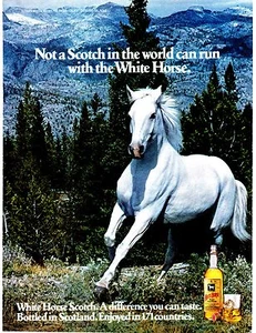 Original Print Ad-1977 Not a SCOTCH In The World Can Run With The WHITE HORSE ! - Picture 1 of 1