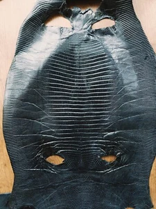 Genuine lizard iguana skin, genuine iguana leather, Exotic leather, Super Price! - Picture 1 of 4