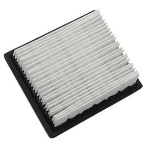 FILTRO DE AIRE PARA TECUMSEH 36046 740061 740061C PR1011008 100-450 30-740 100-483 - Imagen 1 de 1