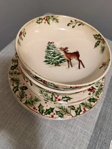 Pier 1 Winter Wonders Holly Berry Dinner Salad Plates & Bowl Set Ironstone - Picture 1 of 18