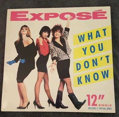 Near Mint 1989 Expose What You Don't Know 12" Single Sample LP Album Foto 1 de 2