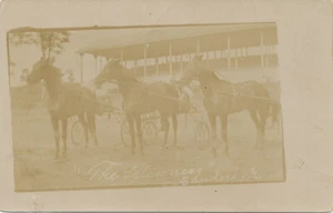 Sanders KY * The Winners 1909 RPPC Horse Race Carroll Co. Trotters - Picture 1 of 2