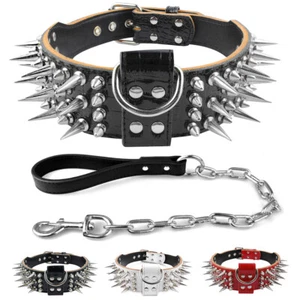 Strapazierfähiges Leder Spike Hundehalsband und Leine für Pitbull Rottweiler Boxer groß - Bild 1 von 21