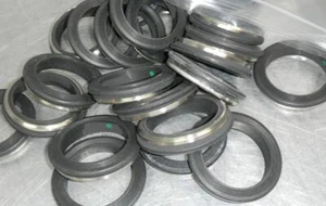FMC 323306 2" UNION SEAL W/ 316 SS ANTI EXTRUSION RING - Picture 1 of 1
