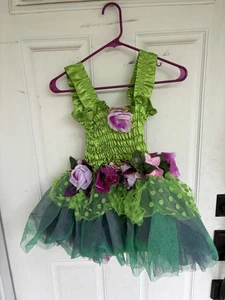 Vestido de hadas Creative Education, verde, talla 5-6 M - Imagen 1 de 3
