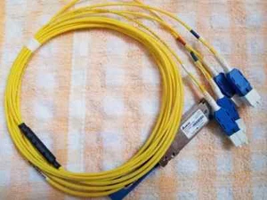 2.7M LUXTERA QSFP28 QSFP-100GB4FDRB 100G-PSM4 Passive Cable - Photo 1/5