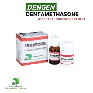Dengen Dentamethasone Root Canal Obturation Cement Endomethasone (Free Ship) - Picture 1 of 4