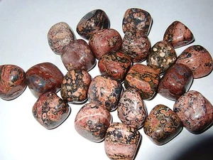 - Puffed Minerals Crystal Therapy - JASPER LEOPARDITE - Picture 1 of 1