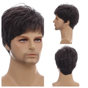 Mens Short Black Brown Mix Silver Gray Daily Hair Wigs Daily Natural Cosplay US - Picture 1 of 9