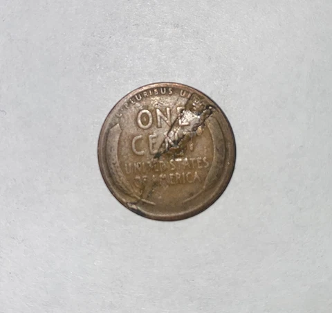 1920 Lincoln Cent Wheat Penny MASSIVE Die Crack Planchet Error Reverse Cover