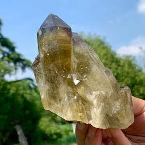 1.13LB Natural Pineapple Citrine Smoke Crystal Backbone Quartz Cluster Specimens - Picture 1 of 21