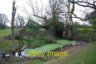 Photo 6X4 A Weedy Pond Biddenden The Plants Growing On The Other Side Of  C2007