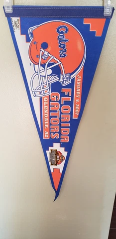 FLORIDA GATORS NATIONAL CHAMPIONS  SEC NCAA VINTAGE FELT PENNANT 3/25/23 Cover