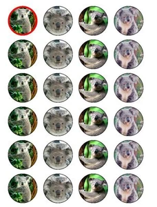 24 X KOALA BEARS MIXED NOVELTY WAFER PAPER BIRTHDAY CAKE TOPPERS - Picture 1 of 1