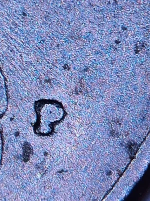 1984 P cuarto de rpm/fuera del centro huelga en Dios confiamos error en conexión Foto 1 de 3