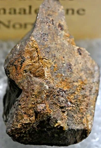 RARE XENOTIME-Y, 1.5 X 1.5 X 2.5 CM, HVALOENE, SMAALENENE, NORWAY #59 - Picture 1 of 1