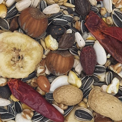 Versele Papageien Exotic Nut Mix Premium 15kg - Bild 1 von 2