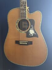 Indie Tree Of Life Acoustic Guitar  for sale
