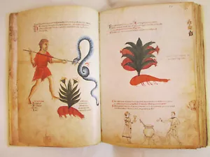 Die Medicina Antiqua - Bild 1 von 4
