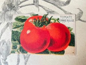 Etiquette Chromo Légume ancien Vilmorin Tomate Pomme Horticulture Catalogue - Picture 1 of 1