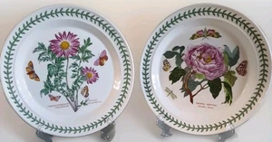 2 ZWEI PORTMEIRION BOTANIC GARDEN SPEISETELLER 26 CM STRAUCHIGE PFINGSTROSE/CHRYSANTHEME  - Bild 1 von 13