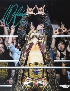 Póster autografiado por JSA Will Ospreay 11x14 - Anillo de lucha libre profesional firmado a mano - Imagen 1 de 1
