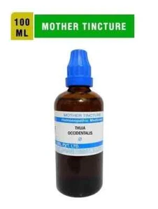 SBL Homeopathic Thuja Occidentalis Mother Tincture Q (100ml) - Picture 1 of 1