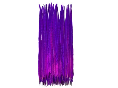 10 Feathers | 18-22" Purple Bleached & Dyed Long Ringneck Pheasant Tail Wedding - Image 1 of 3