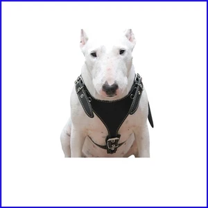 High-Quality Leather Dog Harness for Medium Breeds - Perfect for Daily Walks - Picture 1 of 6