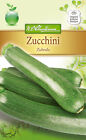 Zucchini 'Zuboda' - Cucurbita pepo, rankenlos, Samen, 4332