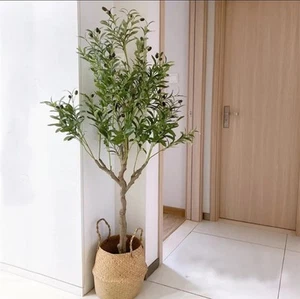 Artificial Olive Tree, 6FT Tall Faux Silk Plant Artificial Tree in Potted Oli... - Picture 1 of 11