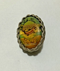 Lake Hume Trout Farm Metal Pin/Badge for Hat/Lapel - Picture 1 of 2