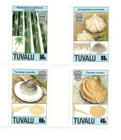 FULL SHEETS Tuvalu 1989 SC 520-3 - Fungi - 4 Sheets of 40 - MNH Cover