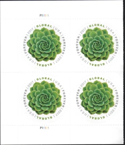 US NATURE 2017 SCOTT #5198 GREEN SUCCULENTS' EDIBLES FOREVER STAMP PLATE BLOCK - Picture 1 of 2