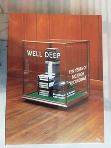 WELL DEEP TEN YEARS OF BIG DADA RECORDINGS DVD**NEW** - Picture 1 of 1