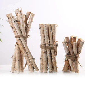 1 pieza rama fina seca natural hágalo usted mismo flor corteza abedul palo fiesta decoración del hogar - Imagen 1 de 10