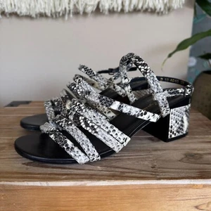 Robert Clergerie Eolia Leather Snake Print Black White Strappy Block Heel Sandal - Picture 1 of 13