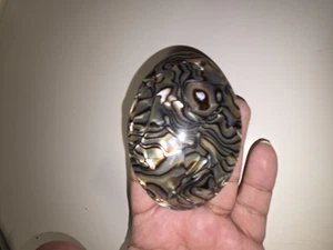 France Luxe Barretteu Französische Haarspange Abalone Klassiker - Bild 1 von 8