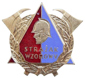 Poland Polska Perfect Exemplary Firefighter Award Pin Badge - Picture 1 of 4