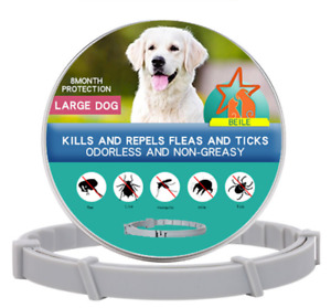 SerestoÂ³ FleaÂ³ and TickÂ³ CollarÂ³Tick Collar For Large Dogs 7-8 Month Protection