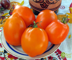 Tomato Iliny's Gold Seeds organic non GMO Ukraine 20 seeds D