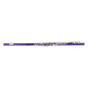 2000s Lazarro LZR120FL Flute LZR 120 FL Silver Nickel Purple Jazz Band 120-PR - Picture 1 of 17
